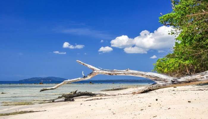 Elephant Beach: A Guide To Explore The Impeccable Beauty Of Havelock