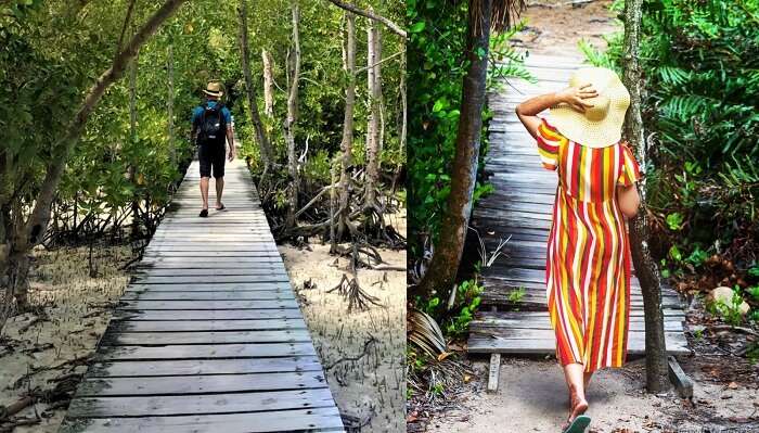 Curieuse Islands in Seychelles
