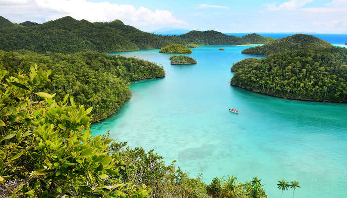 Diving In Raja Ampat