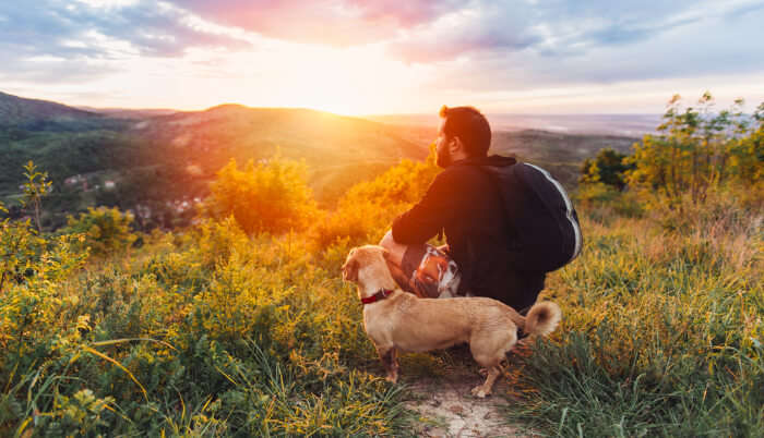 Dogs Can Find New Spots