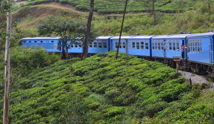 scenic and refreshing toy train ride