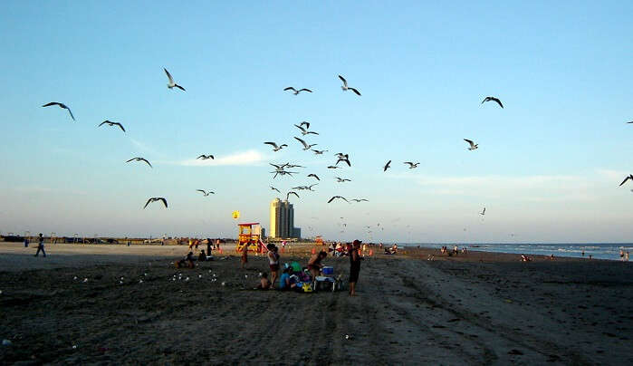 Galveston's Beaches