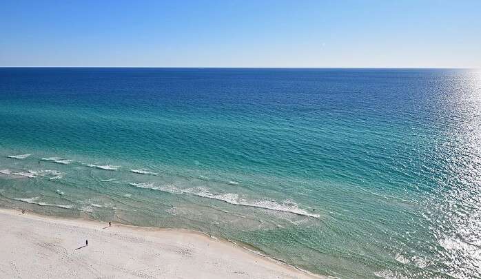 nature trip sandy gulf of mexico coast