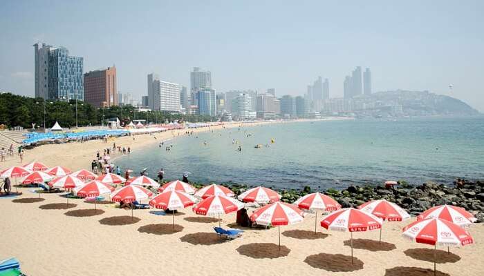 Haeundae Beach View