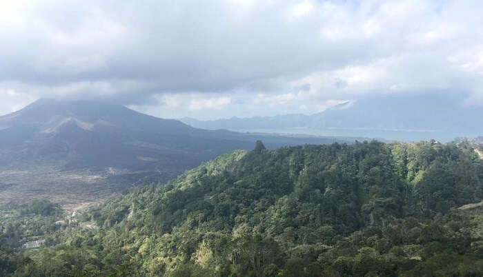 overview of the valley