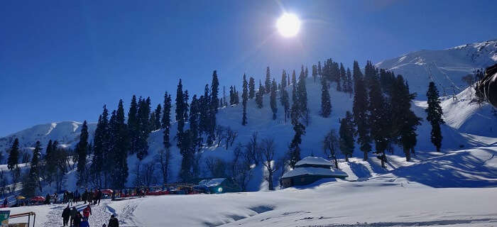 Gulmarg View