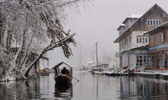 Boat Ride in Dal Lake