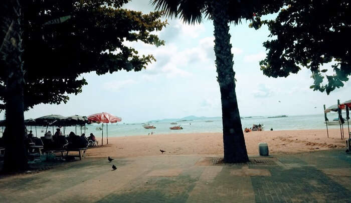 evening view at the beach