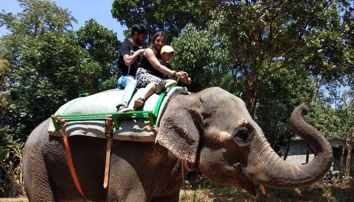 took elephant ride with kids