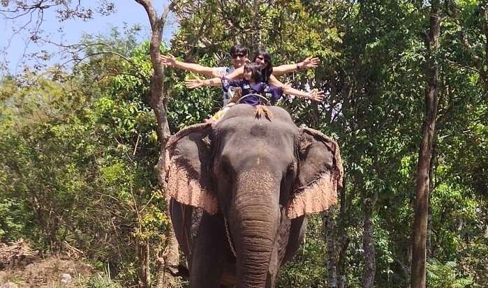 enjoyed a lot on the elephant ride