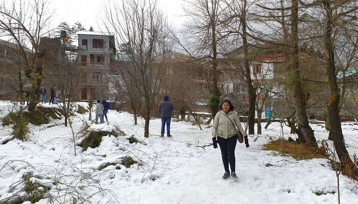 breathtaking views of the snow-laden Kullu Valley