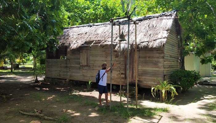 allow visitors to explore the rainforest