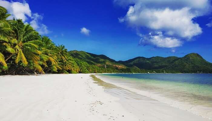island view