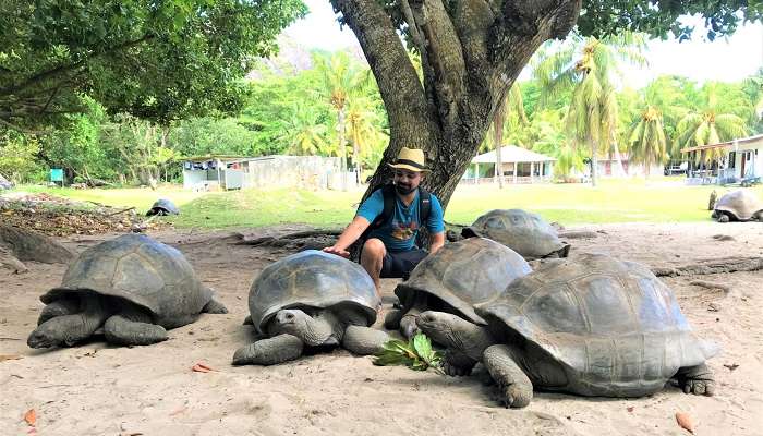 turtle reserve