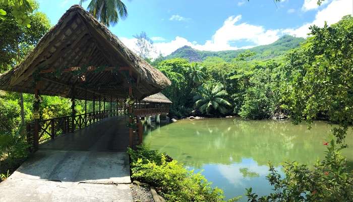resort pool view