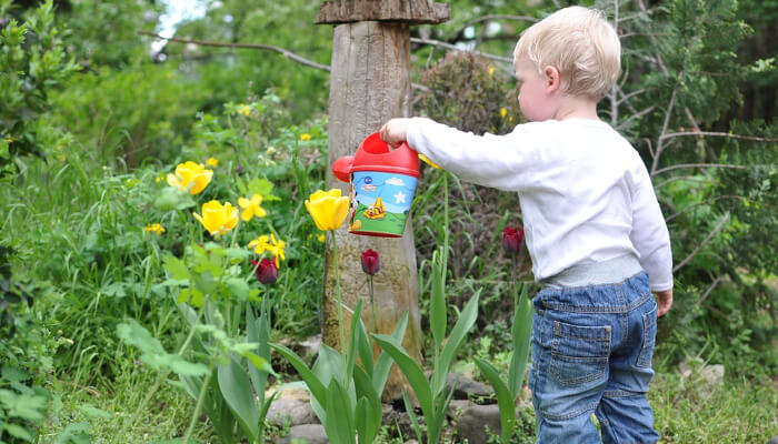 Jacob Ballas Children Garden