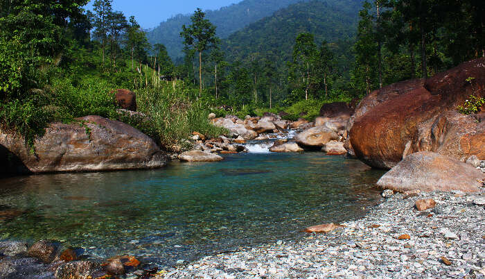 Jaldhaka River