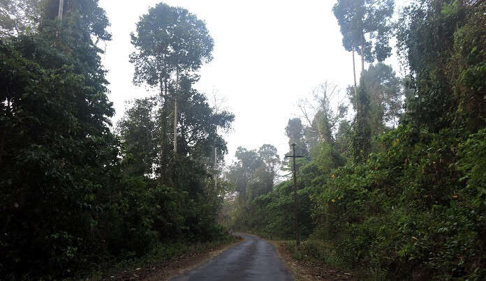 Jarwa Reserve