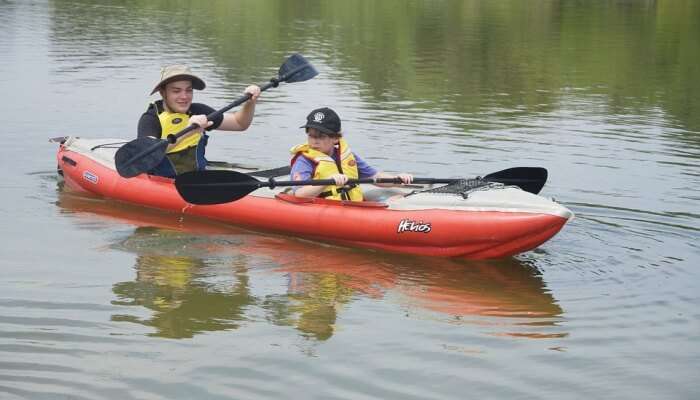 Paddles Kayaking Sport Water Canoeing Paddlers