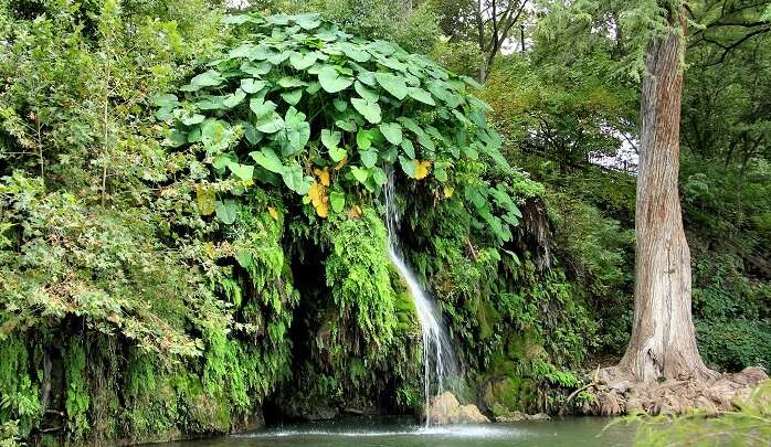 Krause Springs