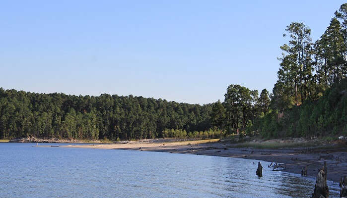 Sam Lake Sam Rayburn