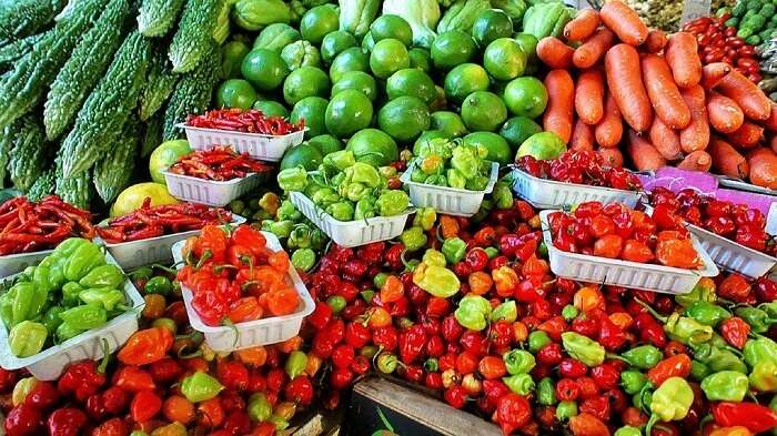 Ripe Vegetable Farmers Market Various Fresh