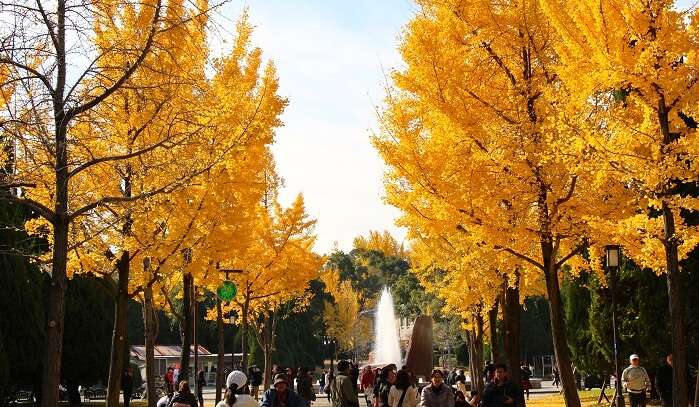 Midosuji Avenue