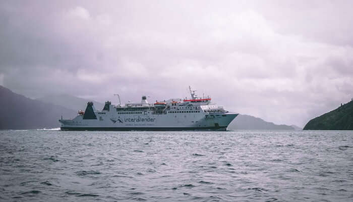 Milford Sound Sightseeing Cruise