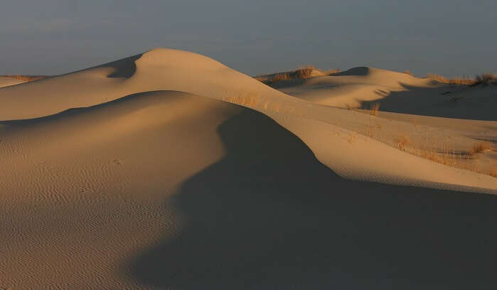 Monahans Sandhills State Park