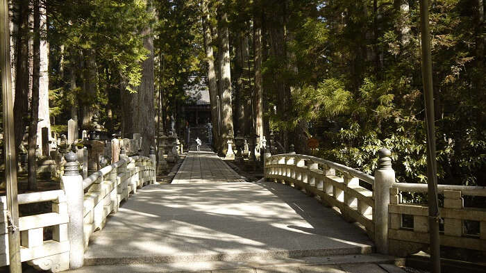 Mount Koya