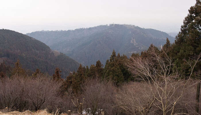 Mount Takao