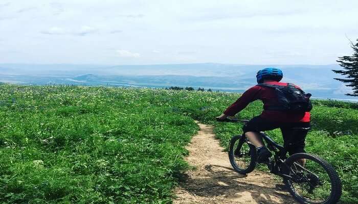 Mountain Biking In Scotland