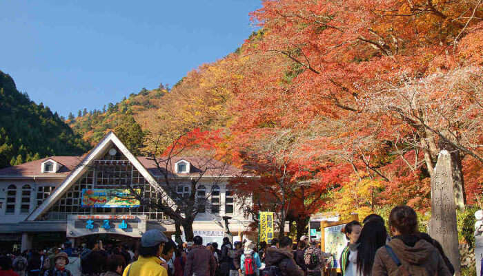 Mt Takao