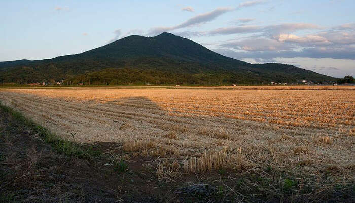 Mt Tsukuba