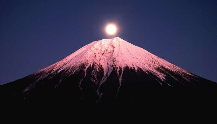 Mt. Fuji View