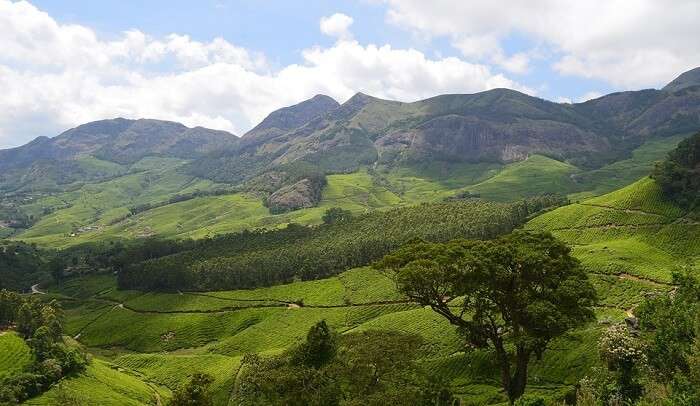 Munnar