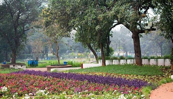 Nehru Park In Kochi