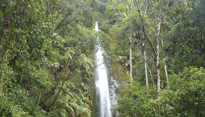 Nejiki Fudo Waterfall