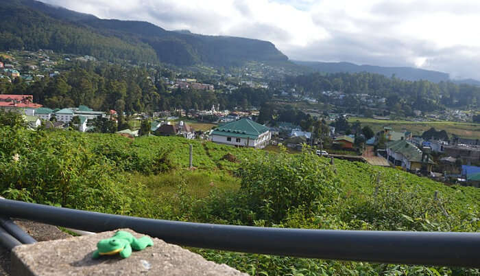 Nuwara-Eliya