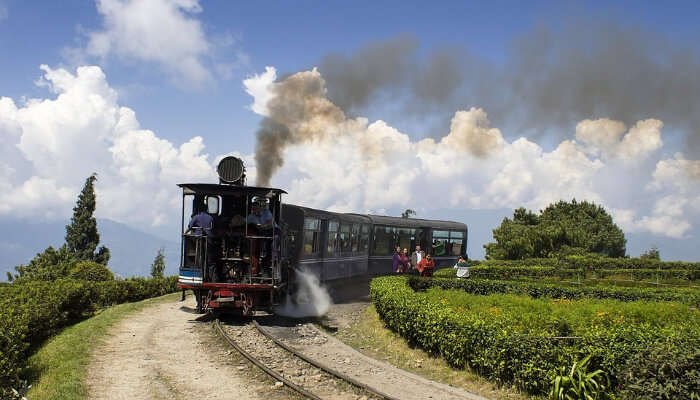 Darjeeling