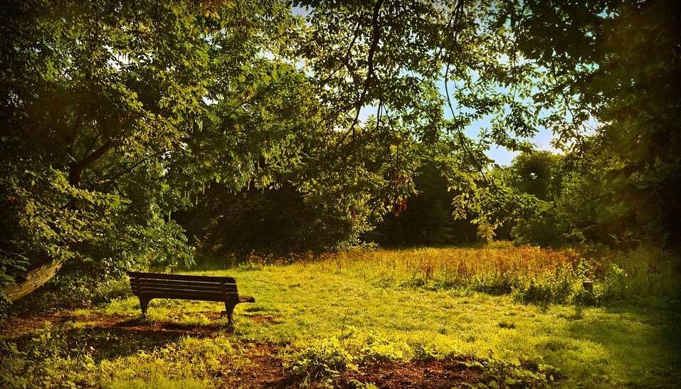 Park in kochi