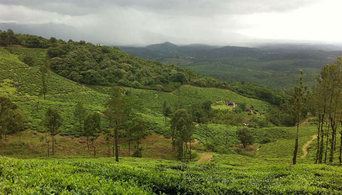 Parks In Wayanad cover