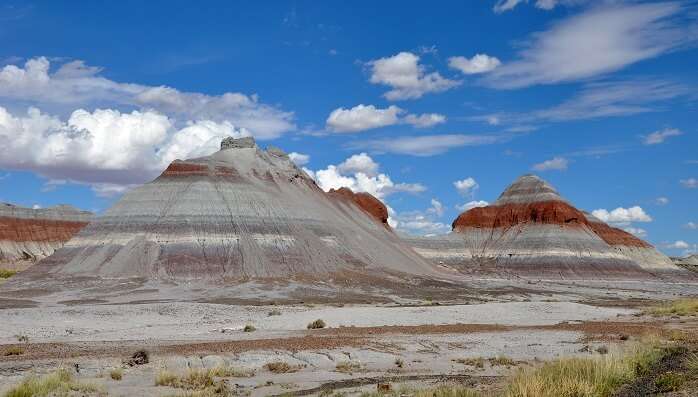 Petrified Forest National Park