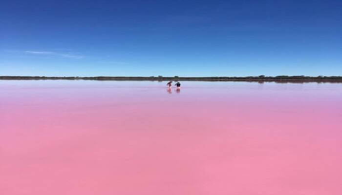 Pink Lake