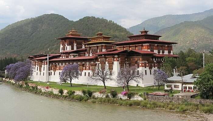 Punakha City Excursion