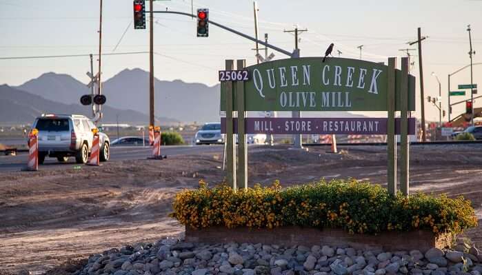 Queen-Creek-Olive-Mill