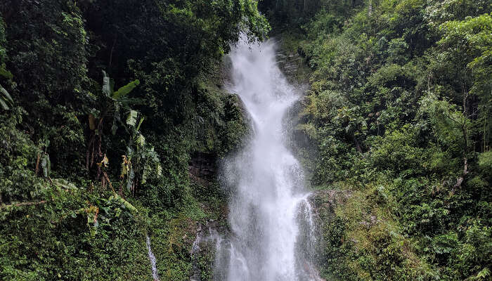 Rimbi Waterfall In Sikkim