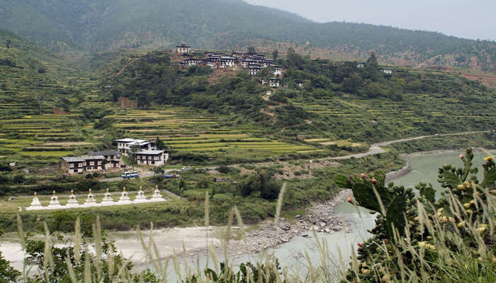 Rinchengang