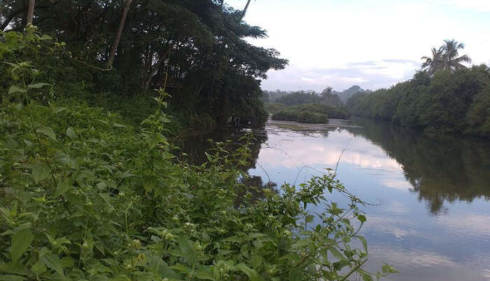 Sarovaram Bio Park