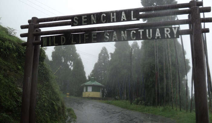 Senchal Wildlife Sanctuary